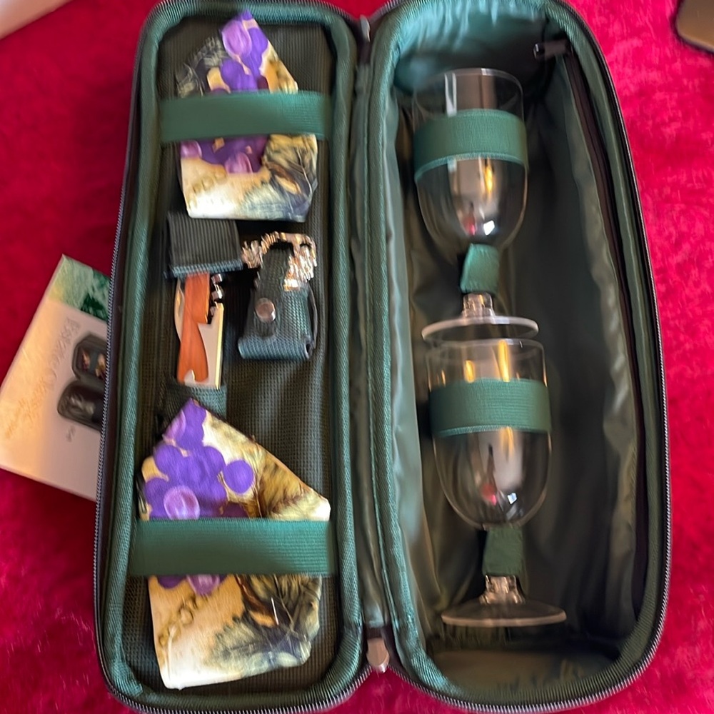 PICNIC TIME DELUXE INSULATED WINE TOTE SERVICE FOR 2 GREEN with ADDED BO…